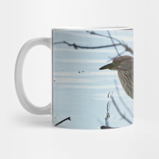 Juvenile Black-crowned Night-Heron Mug